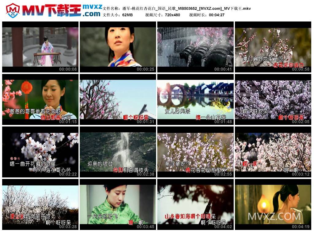 潘军-桃花红杏花白_国语_民歌_MB503652